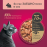 Пауч за котки My Love Adult cats  with rabbit in sauce 4 броя със Заешко месо в сос